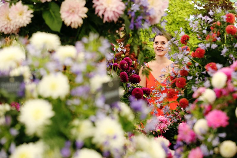 Visitor admires floral display