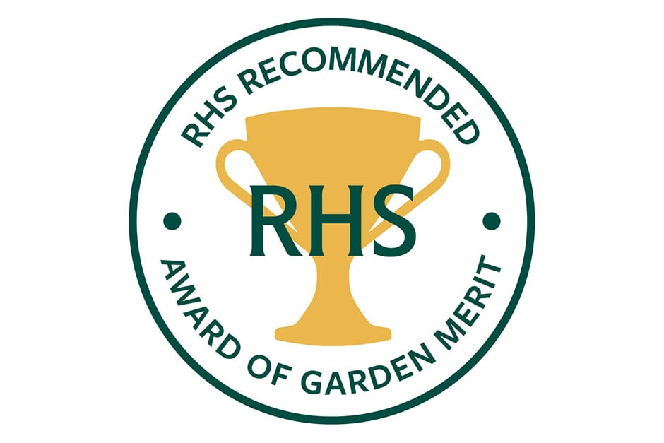 model.mustReadImage.alternativeText