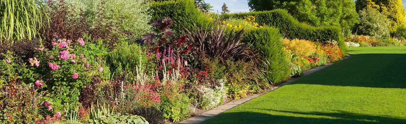 photograph of the garden