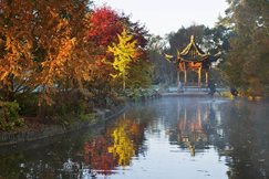 Autumn colour near the pagoda