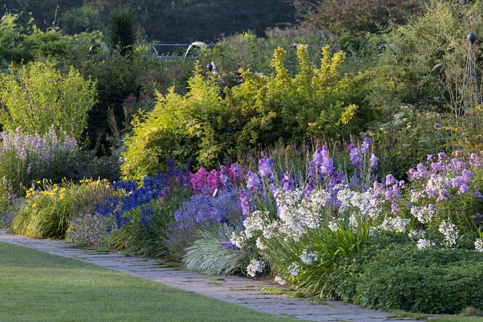 Agapanthus Landscape Ideas How To Persuade Agapanthus To Flower