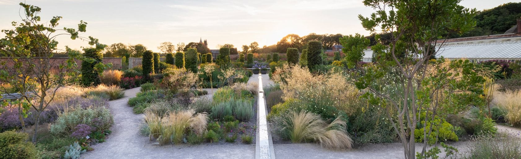 photograph of the garden