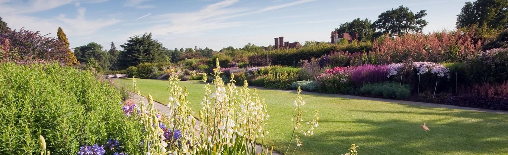 photograph of the garden