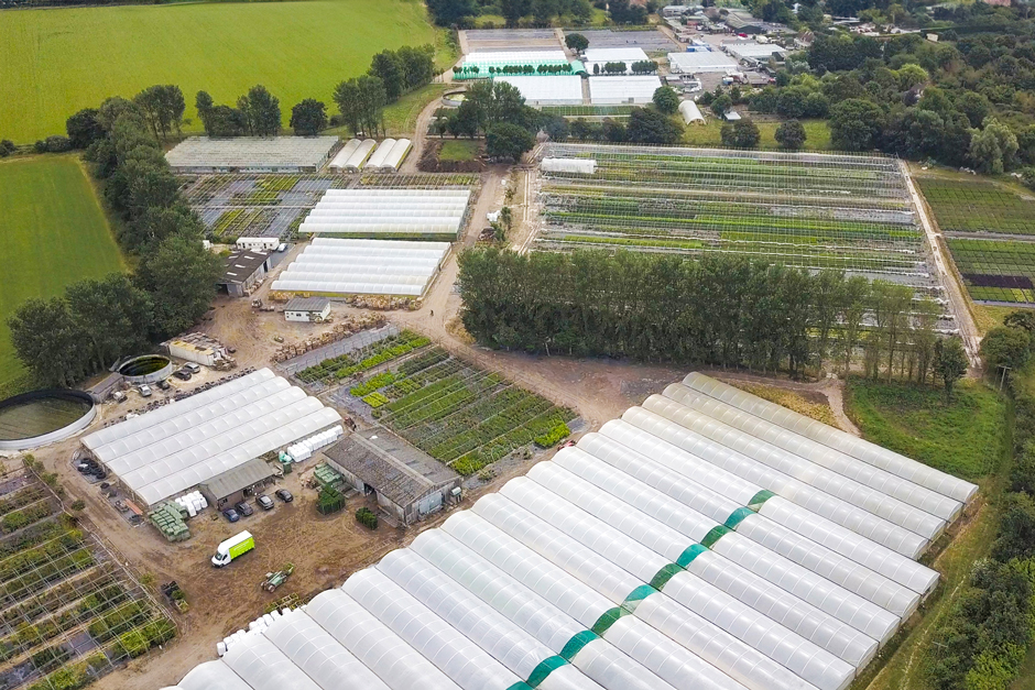 Peat-free case studies: Greenwood Plants / RHS Gardening