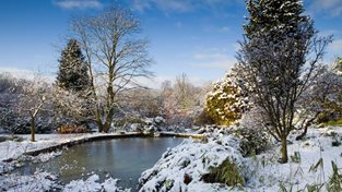 Harlow Carr in winter