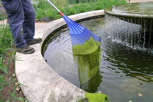 Removing blanket weed from a pond