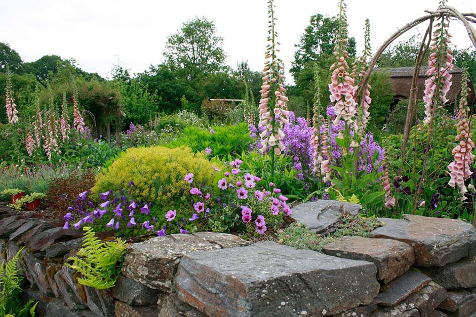 View our galleries from RHS Garden Rosemoor / RHS Gardening on Rhs Garden Design
 id=12634