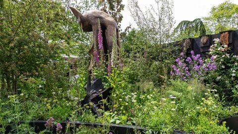 The Bat Conservation Trust’s Nocturnal Garden
