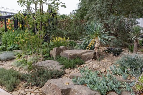 RHS COP26 Garden