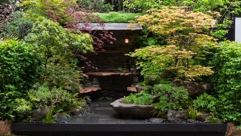 Secret Base – The Another Green Room garden