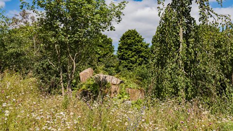 An inspiring garden, parts of which were first seen at the Chelsea Flower Show, features a majestic pendulous beech (<em>Fagus sylvatica</em> 'Pendula') tree