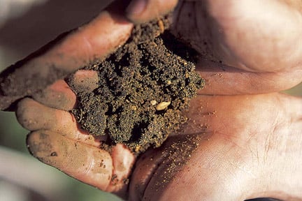 If your topsoil is poor, you may need to buy more in. Image: Tim Sandall/RHS