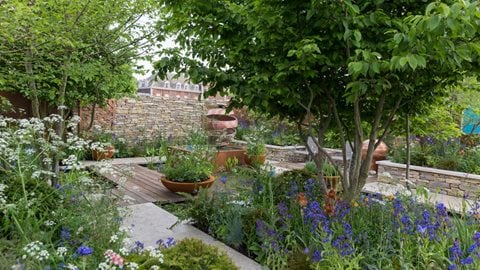 A garden that beautifully combines water, dappled shade and a ‘pop’ of colourful copper – creating a serene space you could take home.