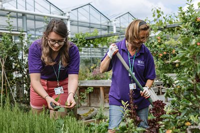 Volunteers helping at an RHS Garden