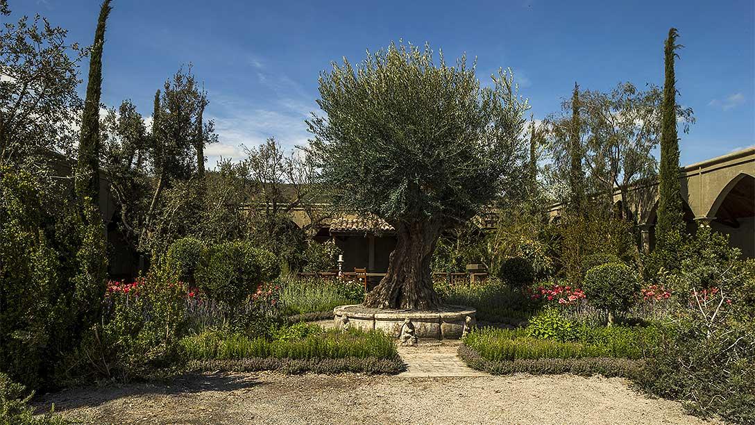 Villaggio Verde: The Garden of Romance