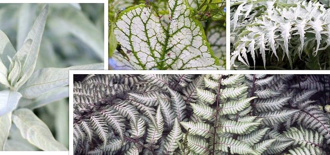 greenstalk planters 7 Tier GreenStalk Garden Leaf Vertical Planter - Basket Weave Texture Stunning Stone