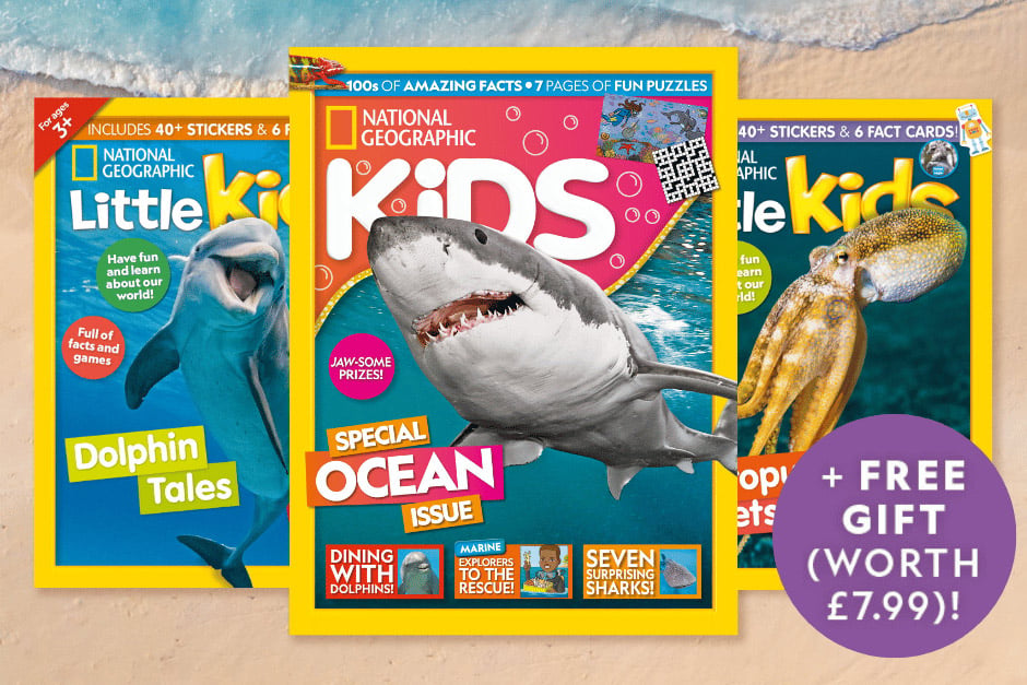 National Geographic Kids magazines