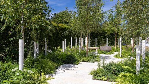 Macmillan Cancer Support: The Nascent Shade Garden