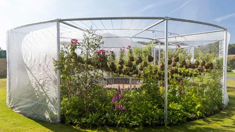 This feature was created from scratch in only six weeks by a team from University Centre Reaseheath and Hultons Landscapes, including landscaping apprentices