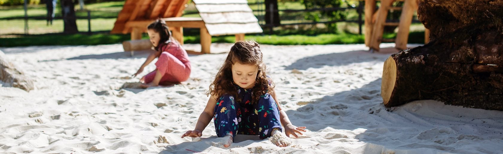 photograph of the garden