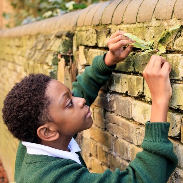 Observing plants during a perseverance wellbeing walk