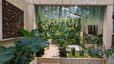 The Sensory Sanctuary