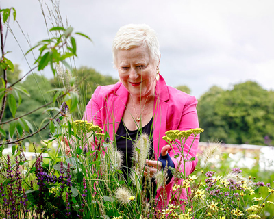 A Blind Man Can'T Sees Flowers Growing Garden: Inspiring Resilience