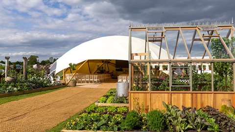 Kitchen Theatre: Grow Your World