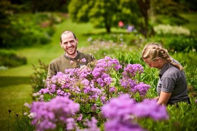 Gardening for wellbeing