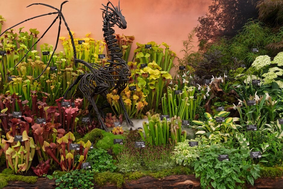 Exhibit in the Floral Marquee