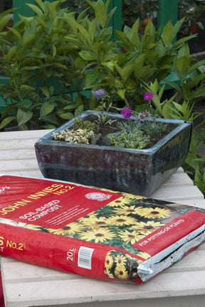 Planted container and John Innes potting compost