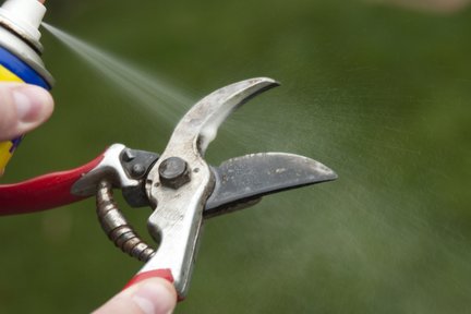 Sharpening Hand Tools Rhs Gardening