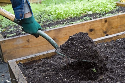 Adding compost to a raised bed