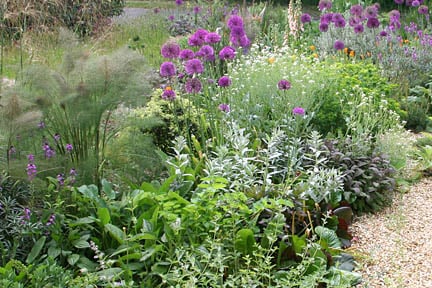 With careful plant choose it is possible to produce lush-looking gardens even on dry soils. Credit: RHS/Advisory.