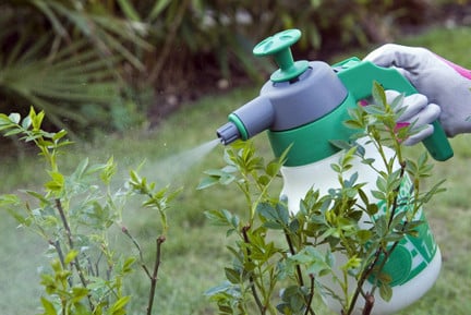 Image result for free pictures of landscaper or gardener spraying