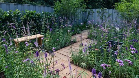 Grown by the young offenders themselves the cool and relaxing white agapanthus and purple Verbena and Veronicastrum are abundant in the garden