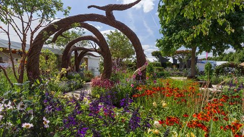 A central liquidambar tree set with seat made from wood and woven willow forms a restful centrepiece to this delightful garden.