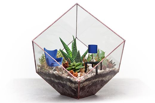 succulents with miniature furniture in a terrarium