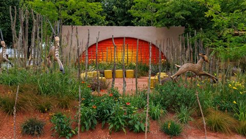 The Lion King Anniversary Garden