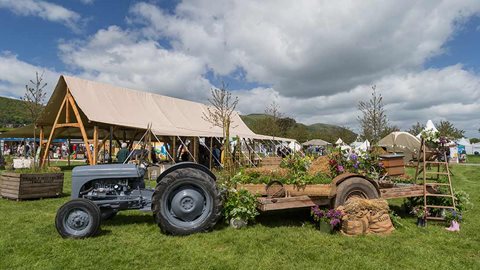 Eco, Green & Growing