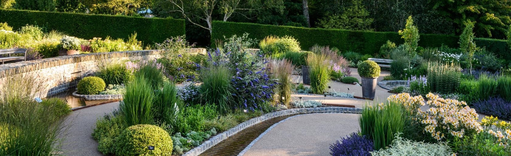 photograph of the garden