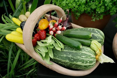 Gardening for wellbeing