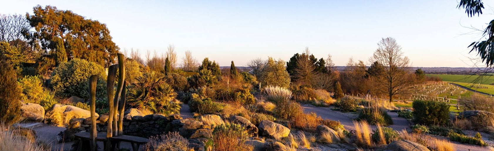 photograph of the garden