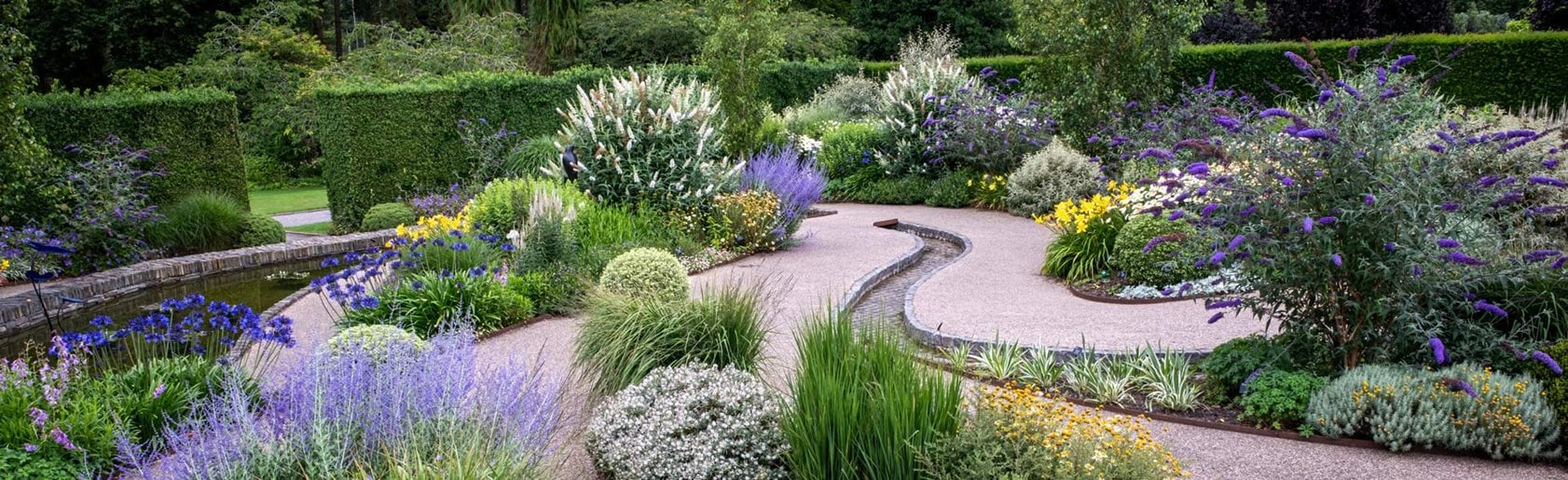 photograph of the garden