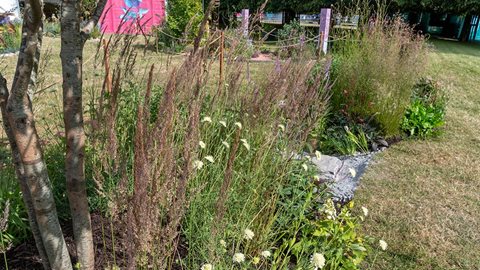 The Ripple Effect Raingarden