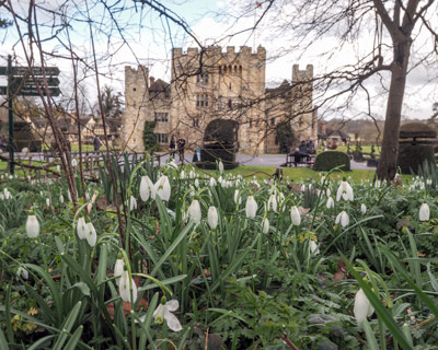 Snowdrops Rhs Snowdrop days out | RHS Partner Gardens / RHS