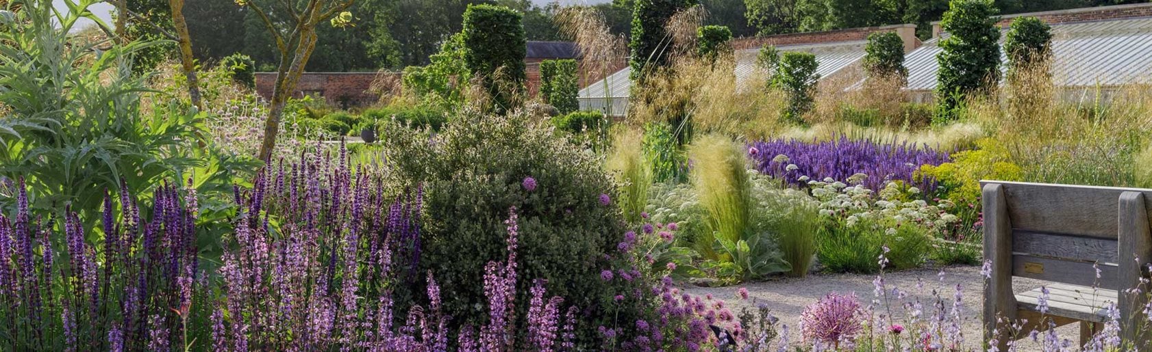 photograph of the garden