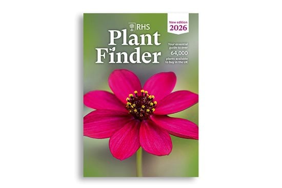 decorative planter pot 3D Printed Plant Pot and Air Plant Holder – Stylish, Durable, Eco-Friendly, Modern Design, Indoor & Outdoor Use, Multiple Sizes & Colors, Lightweight
