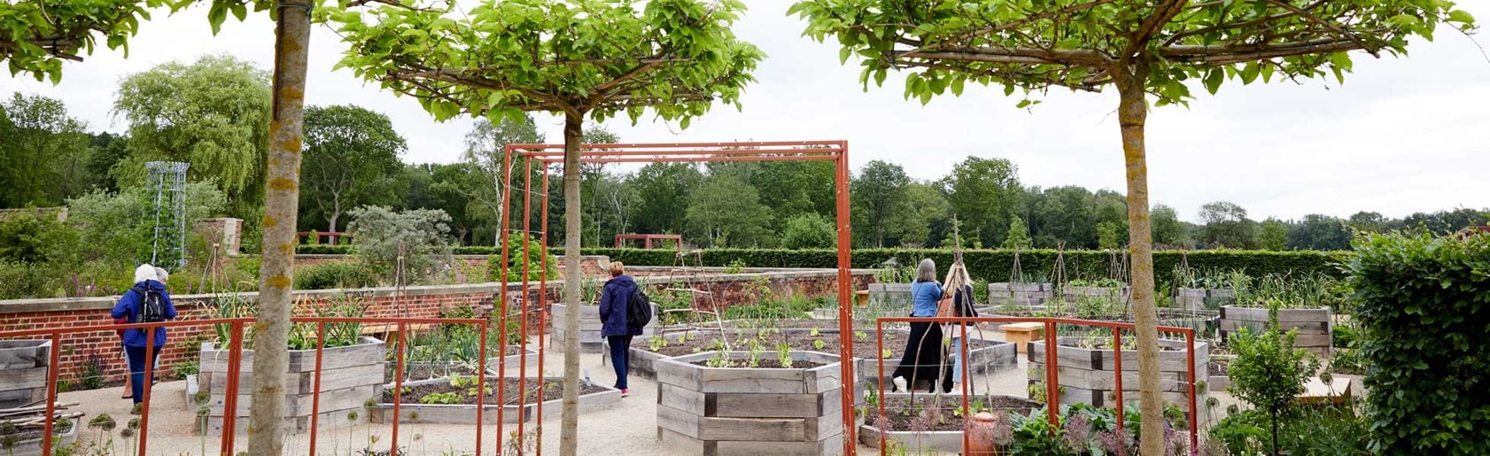 photograph of the garden