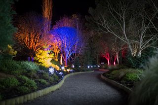Glow at Rosemoor